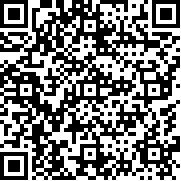 打擊力量英雄中文版