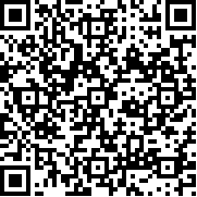 开罗拉面店全国篇debug