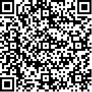 泽塔奥特曼变身器游戏中文版