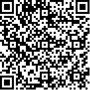 披萨塔噪音大冒险(Noise)