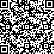 经典俄罗斯方块黑白单机版