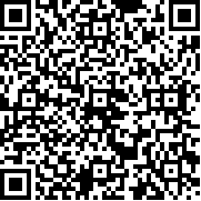 砖块世界的崛起