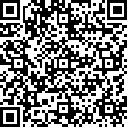 巴西公交模拟手机版