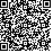 勇者连线国际服(勇者連接)