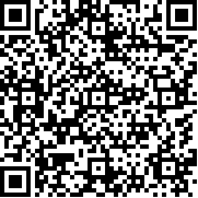 街头火柴人王者