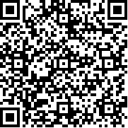 口袋妖怪XY汉化手机版