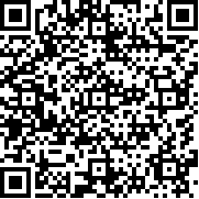 飞翔之光手机版