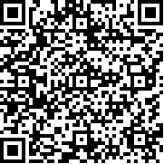 派对大乱斗帮派沙盒