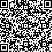 人偶战斗模拟器2最新版