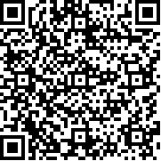火影戰(zhàn)記自選地圖