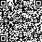 口袋妖怪百万能量汉化版