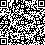 冲突2闪电战游戏