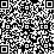 黄金拉力游戏中文版