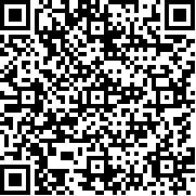 暗影生存中文版
