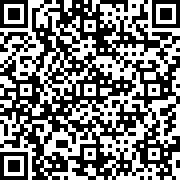 方块第二次世界大战官方正版