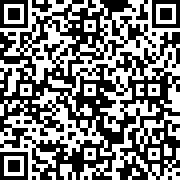 兄弟双子传说重制版