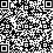 飛行烈焰彈幕戰(zhàn)爭(zhēng)