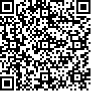 梦幻机场中文版