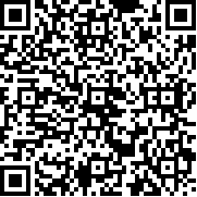 冲刺赛车物语2debug版