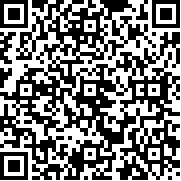口袋礦工3中文版