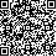 人气动漫大乱斗官方正版