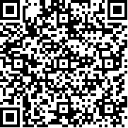 桥梁模拟建造