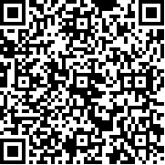 人类汽车碰撞模拟器