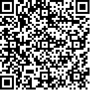 战略与战术2中文版