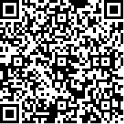 口袋莫迪斯最新中文版