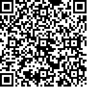 假面骑士巅峰乱斗Zi–O