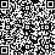 汽车碰撞模拟器0.9版本