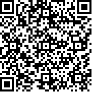 轰炸机小队手机版中文版
