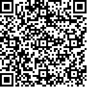 车祸模拟器5最新版本