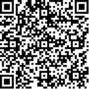 街頭格斗冠軍
