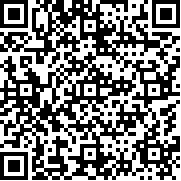 VAZ碰撞測試模擬器