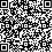 勇者之翼online