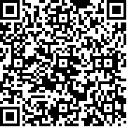 極限打擊X