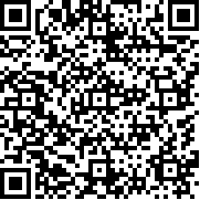 vaz碰撞测试模拟器汉化版