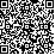代号飞牌(TapTap测试版)