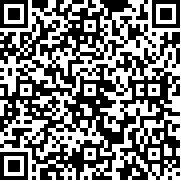 simcity国际服(SimCity安装器)