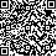 口袋拉力赛LITE(Pocket Rally)