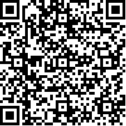 疯狂机场2中文版app