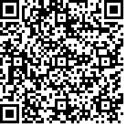 Pocket Dev