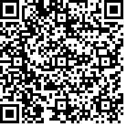 脑叶公司(手机版)