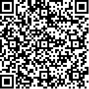 忍者5v5手游