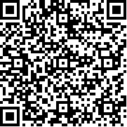 rfs模拟飞行最新版(RFS)