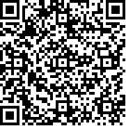 毛绒团队在线