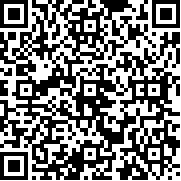 战机公司(联机版)