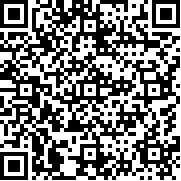 索尼克Rumble(Sonic Rumble安装器)