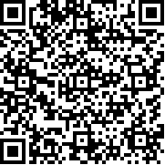 毅力火影(单机版)